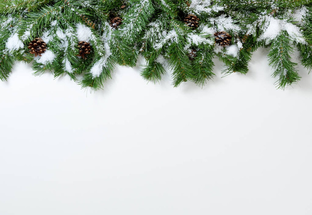 Christmas snowy tree branches and pine cones on white background - Foto, Imagem
