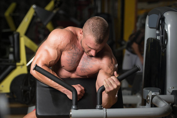 Man Doing Exercise For Biceps On Cable Machine - Valokuva, kuva