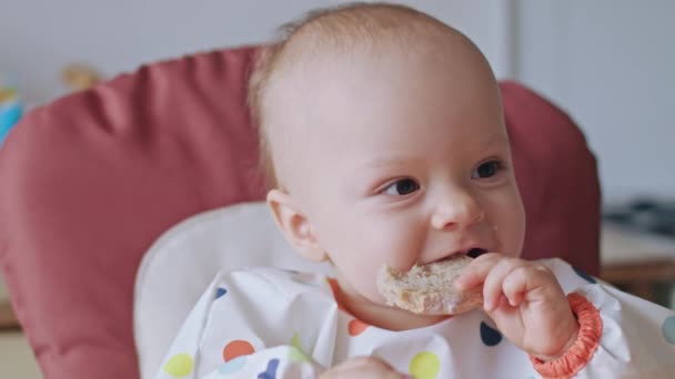 A Baby Girl Eating Bread at Home - Πλάνα, βίντεο