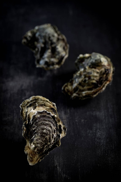 Raw oysters on the graphite board - Fotoğraf, Görsel