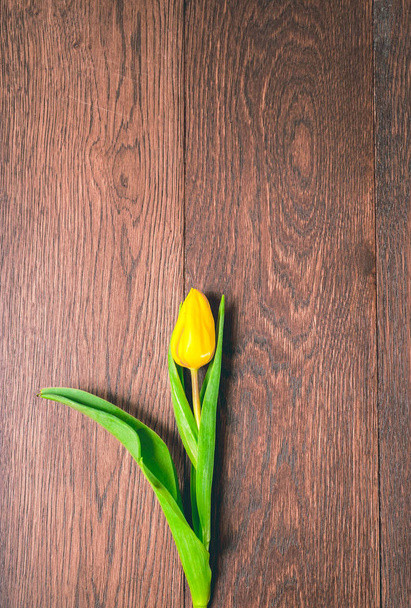 a dark wooden floor is a single yellow tulip - Foto, afbeelding