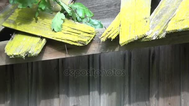 παλιό εγκαταλελειμμένο αχυρώνα του ξύλινο  - Πλάνα, βίντεο