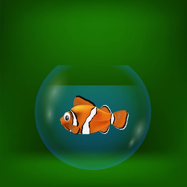 colorful illustration with sea clown fish - Vector, Image