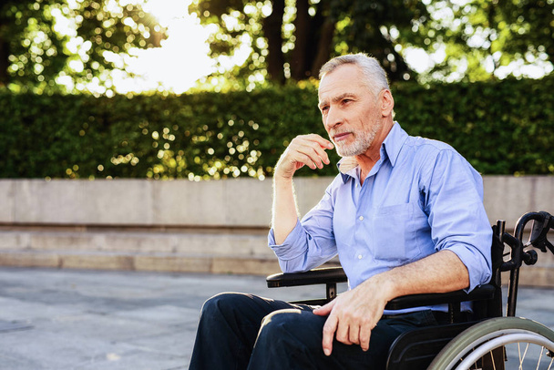 The old man is sitting in a wheelchair in the park - Foto, imagen