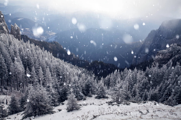 Árboles cubiertos de heladas y nieve en las montañas de invierno - Chri
 - Foto, Imagen