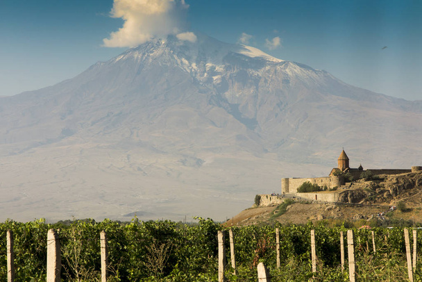 Ararat vadi üzüm alanında. Khor Virap ve Mount Arara görünümü - Fotoğraf, Görsel
