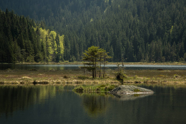 Beautiful landscape scene at the small Arbersee in Bavaria - Photo, Image