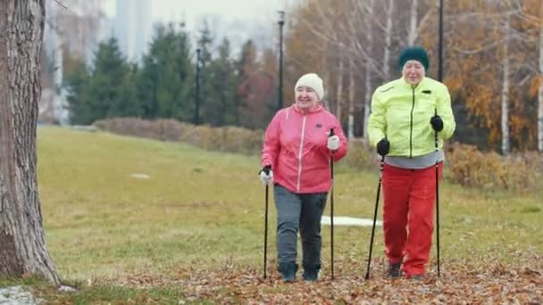 Two elderly woman in autumn park have modern healthy training - nordic walking - Footage, Video