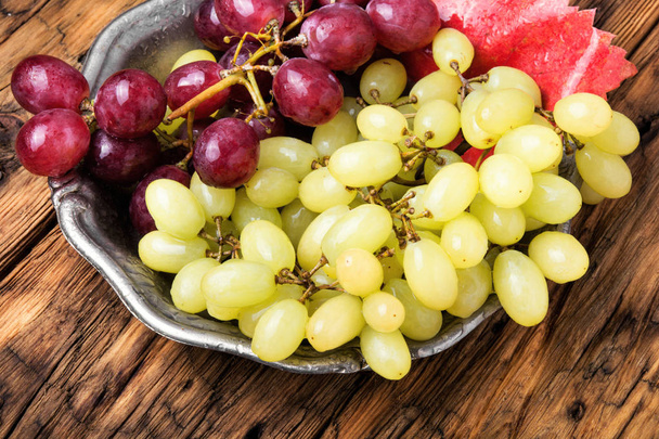 Ripe autumn grapes - Photo, Image