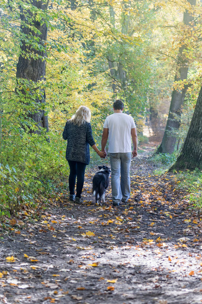 Rear view of a couple walking through an autumn park - Zdjęcie, obraz