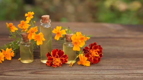 marigold essential oil in  bottle on table - Footage, Video