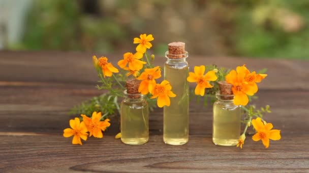 marigold essential oil in  bottle on table - Footage, Video