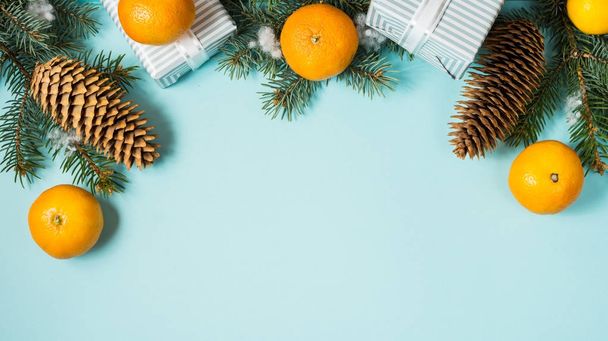Christmas blue background with fir tree and tangerines. - Photo, Image