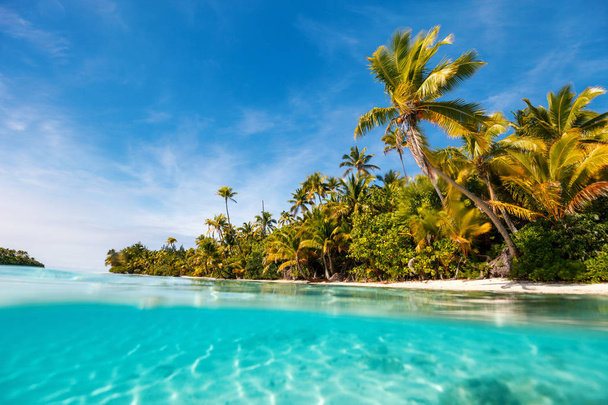 Потрясающий тропический пляж на экзотическом острове в Тихом океане
 - Фото, изображение