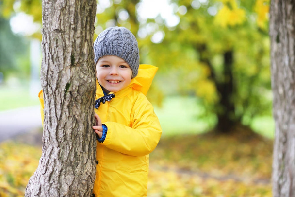 秋の公園で子供たちを歩く - 写真・画像
