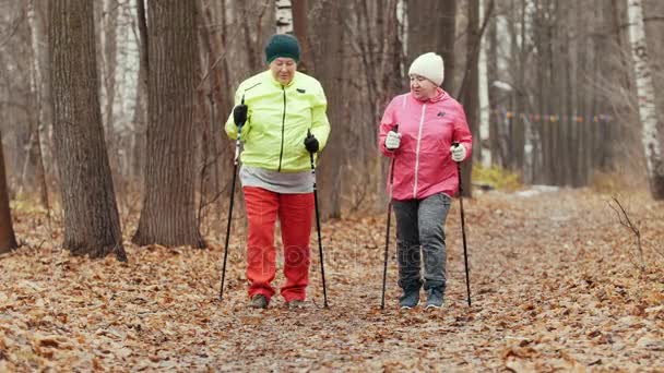 Nordic walking para mujeres mayores al aire libre - dos señoras mayores tienen entrenamiento al aire libre
 - Metraje, vídeo