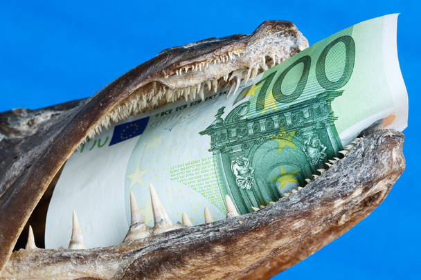 Mouth, euro, one - Фото, изображение