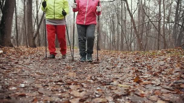 Zpomalený pohled na nordic walking pro seniory ženy venkovní - dvě starší dámy mají výcvik venkovní - Záběry, video
