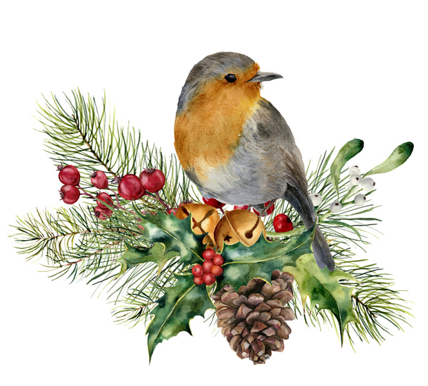 Aquarel kerst samenstelling met vogel. Hand geschilderd robin met sparren en berry branch, Maretak, holly, dennenappel en klokken geïsoleerd op een witte achtergrond. Kerstkaart - Foto, afbeelding