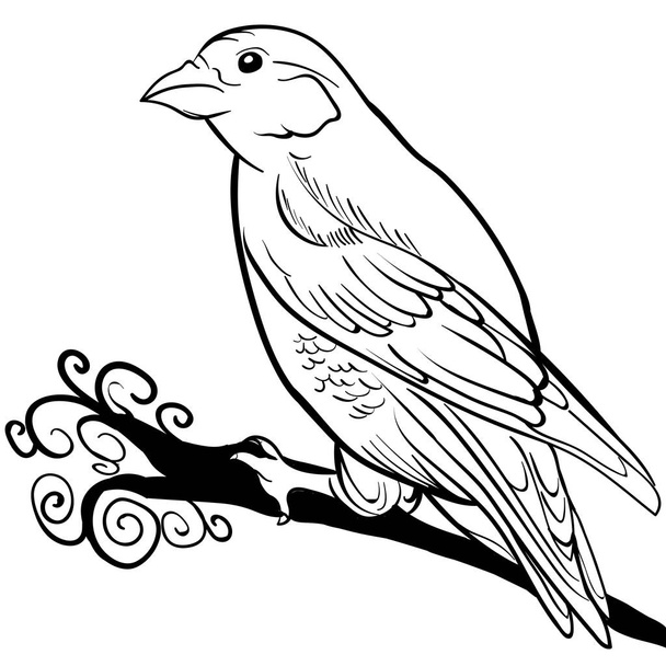 手には、雀が描かれました。鳥動物スケッチ ベクトル - ベクター画像