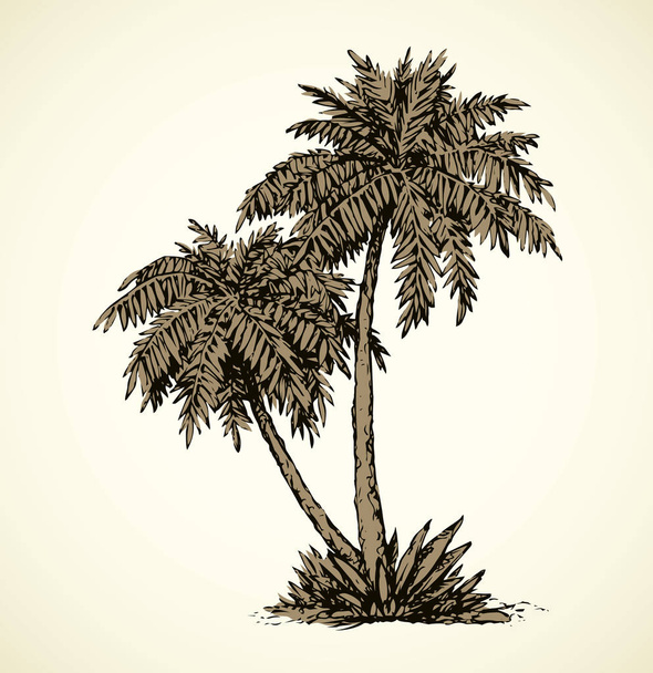Plajda palmiye. Vektör çizim - Vektör, Görsel