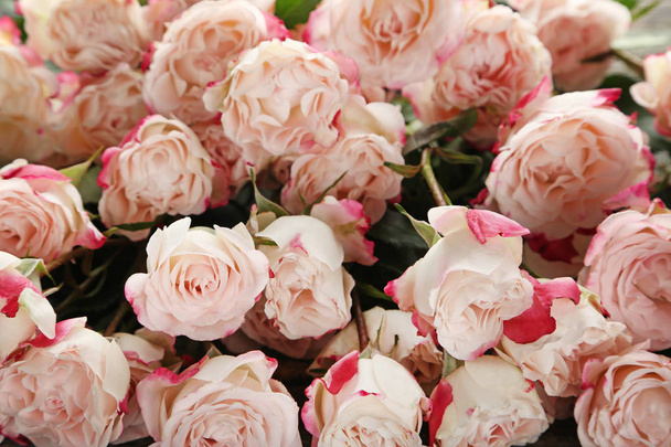 Bouquet of beige roses  - Фото, изображение