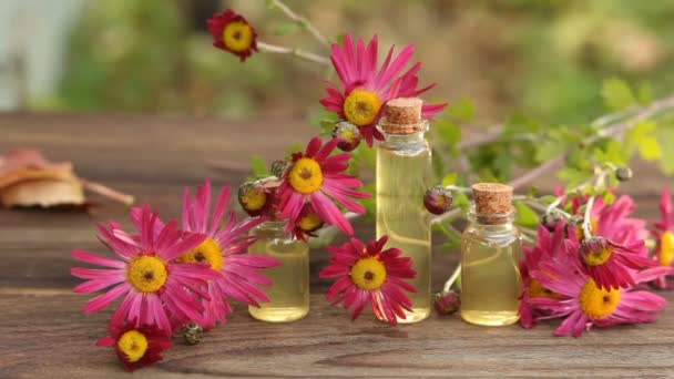 chrysanthemum essential oil in  bottle on table - Footage, Video