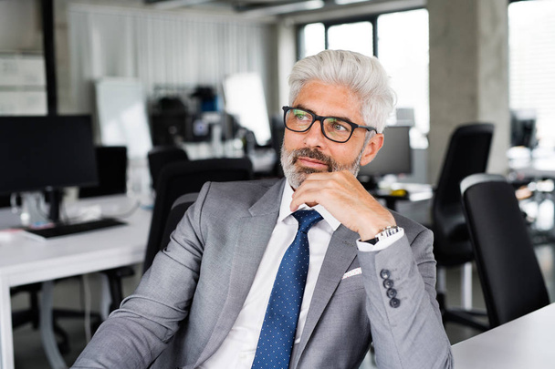 Mature businessman in gray suit in the office. - Fotoğraf, Görsel
