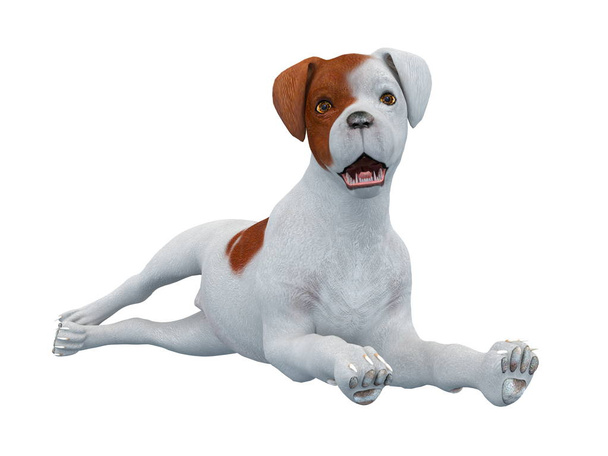 3D CG renderização de um cão
 - Foto, Imagem