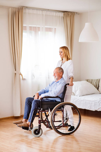 Nurse and senior man in wheelchair during home visit. - Φωτογραφία, εικόνα