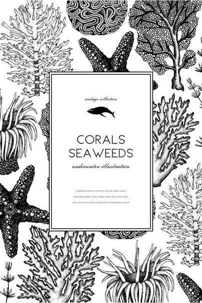 Vintage seaweeds design template - ベクター画像