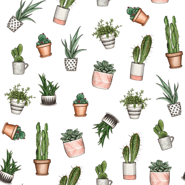 watercolor hand painted home plants pattern. - Foto, immagini