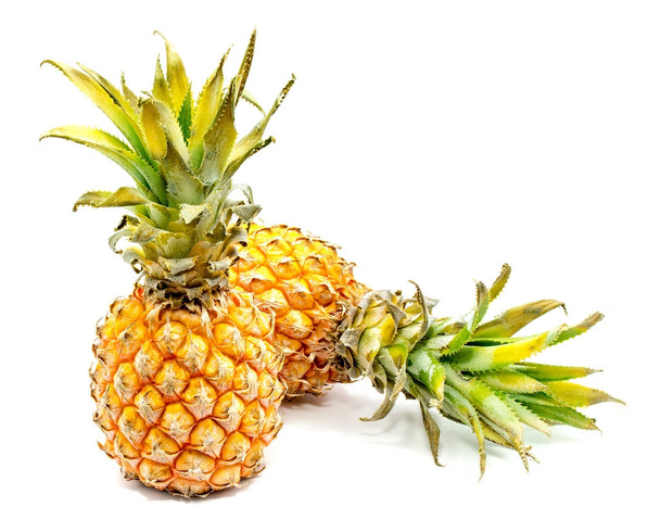 Pineapple (ananas) isolated - Photo, Image