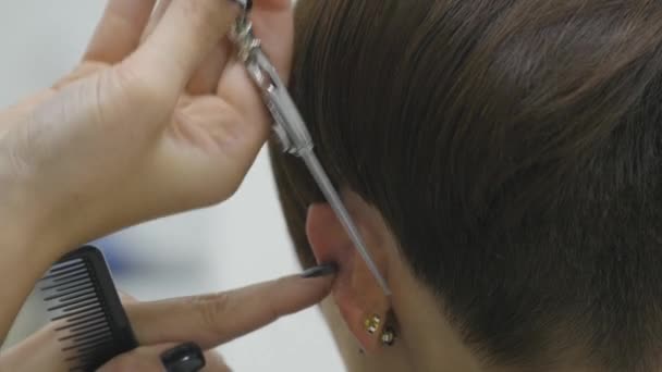 La peluquera de las mujeres hace peinar su cabello en el pelo corto
 - Imágenes, Vídeo