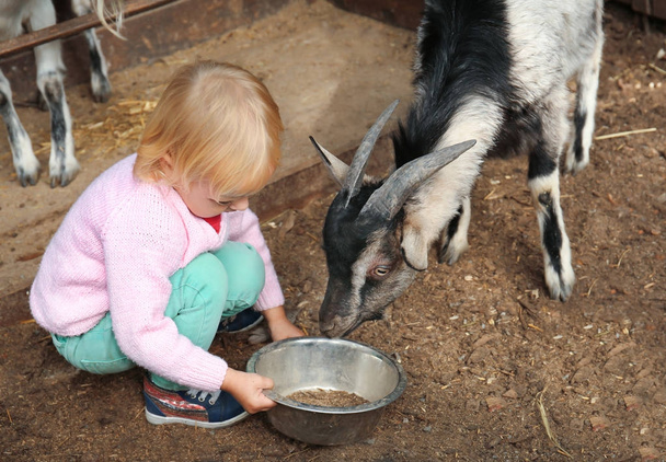 Cute little girl feeding funny goat in petting zoo - Photo, Image