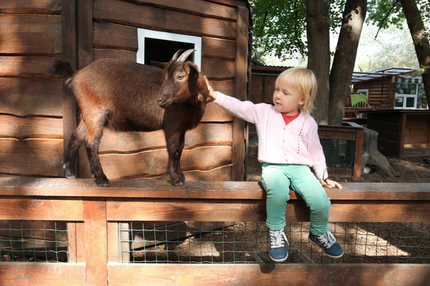 Schattig klein meisje met grappige geit zittend op houten hek in de kinderboerderij - Foto, afbeelding