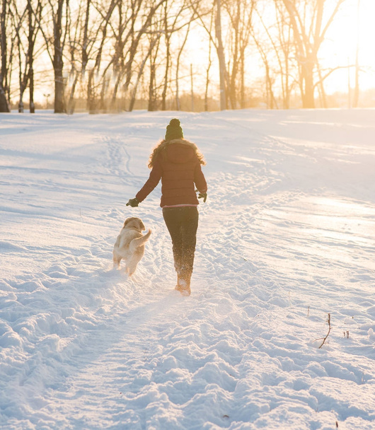 Portrait of a young woman with dog on winter walk. - Fotoğraf, Görsel