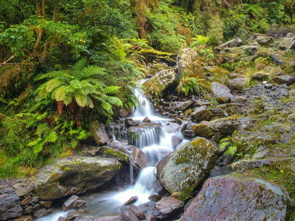 Overview of Waterfall in temperate New zealand rain forest - Photo, Image