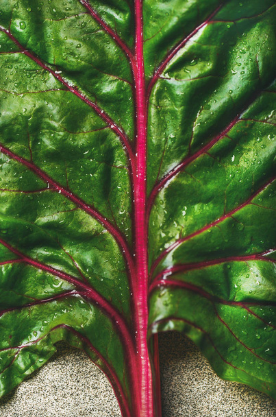  fresh green leaf of swiss chard - Fotoğraf, Görsel
