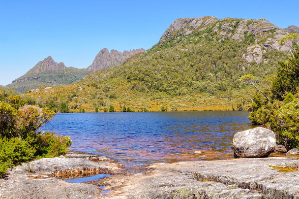 Lilla jeziora i Cradle Mountain - Tasmania - Zdjęcie, obraz