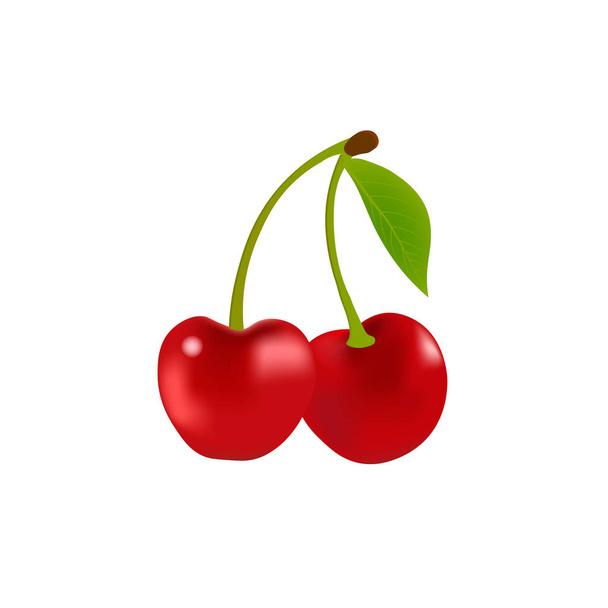 Realistic cherry fruit with leaf isolated on white background. Vector illustration. Sweet fruit - Vektör, Görsel