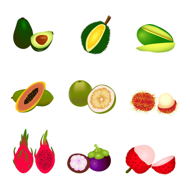 Sada různých tropických plodů vektorové ilustrace. avokádo, mangosteen, rambutan, liči, pomelo, durian, Pitahaya, dračí ovoce, mango - Vektor, obrázek