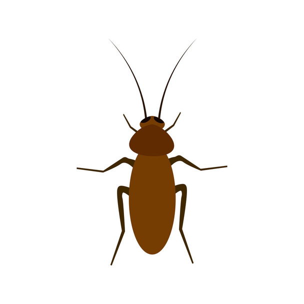 Ilustración vectorial de cucaracha aislada sobre un fondo blanco
 - Vector, imagen