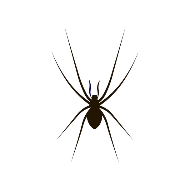 Spinnenvektorillustration isoliert auf weißem Hintergrund - Vektor, Bild