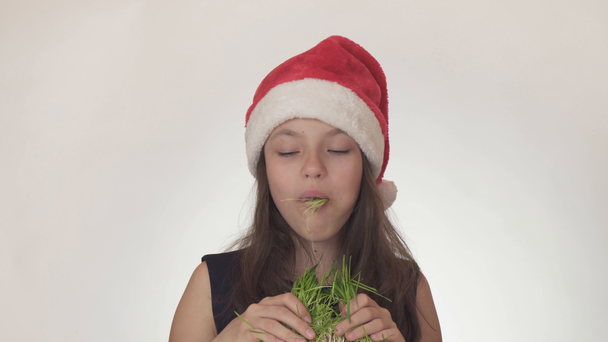 schöne freche Mädchen Teenager in einem Weihnachtsmann Hut mit Appetit isst einen gekeimten Hafer auf weißem Hintergrund Stock Footage Video. - Filmmaterial, Video