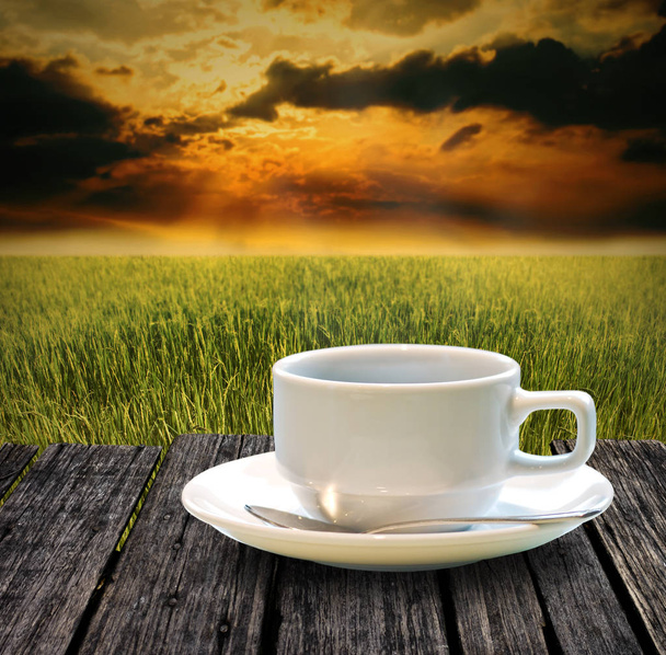Beba café caliente en la granja de arroz por la mañana
 - Foto, imagen