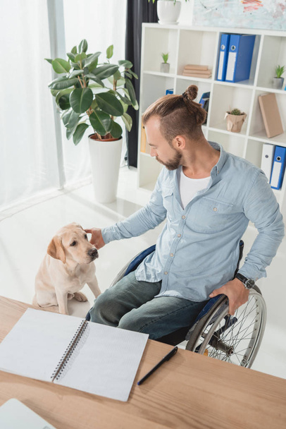 hombre en silla de ruedas acariciando a su perro
 - Foto, imagen