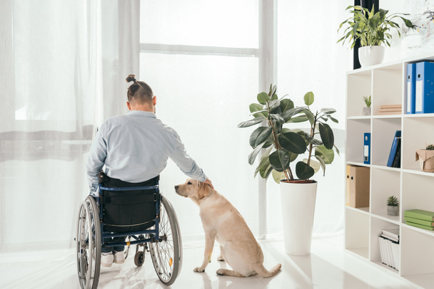 niepełnosprawny - Zdjęcie, obraz
