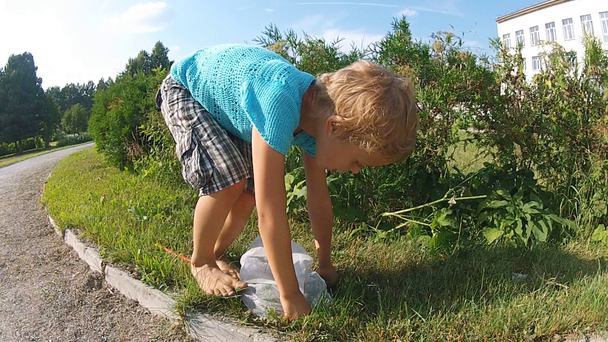 Piccolo ragazzo prende una farfalla in una calda giornata di sole
. - Filmati, video