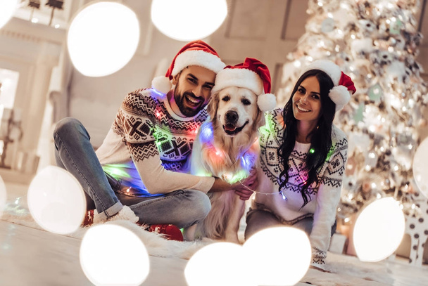 Couple with dog on New Year's Eve - Foto, imagen